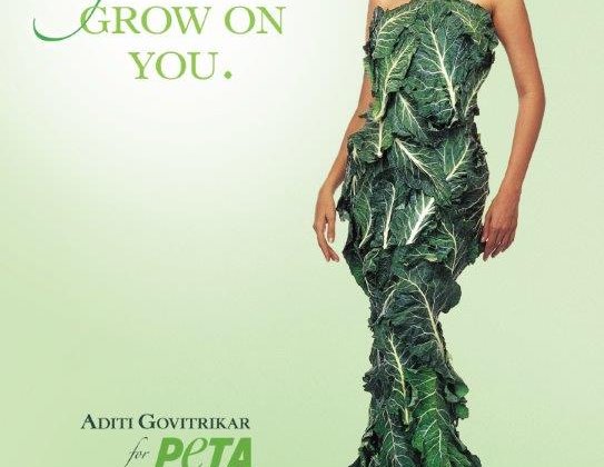 Supermodel Aditi Govitrikar Says, ‘Let Vegetarianism Grow on You’