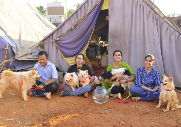Animals Seized by Tumakuru Police From Apollo Circus Following PETA India Complaint