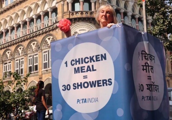 Turning Heads and Changing Minds: PETA India’s Best Demos of 2022