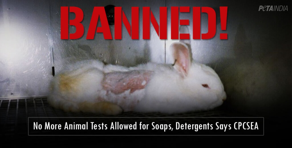 No-more-animal-tests-for-soap-PETAIndia-Fb-Tw-1200x612