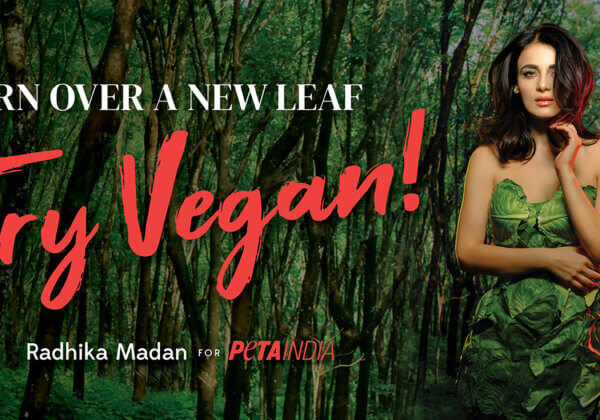 Radhika Madan Turns Into Green Goddess for PETA India World Environment Day Vegan Campaign