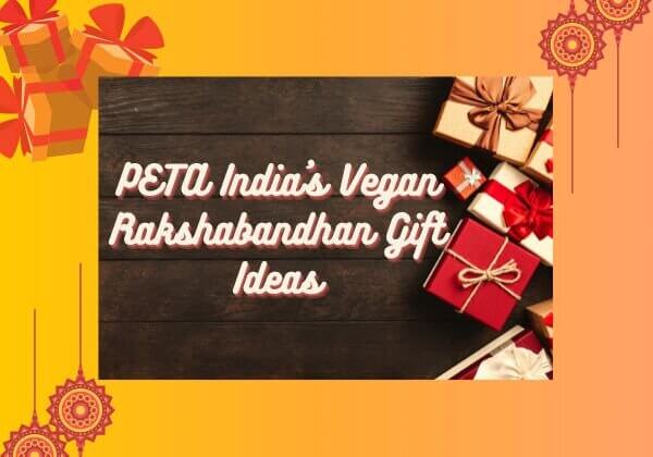 PETA India’s Vegan Raksha Bandhan Gift Guide Is Here!