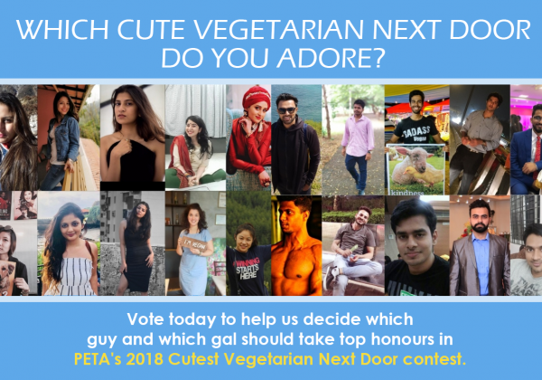 Who Is the Cutest Vegetarian Next Door? Help Us Decide